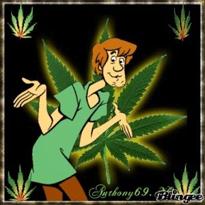 Meet your Posher, Aneurionn